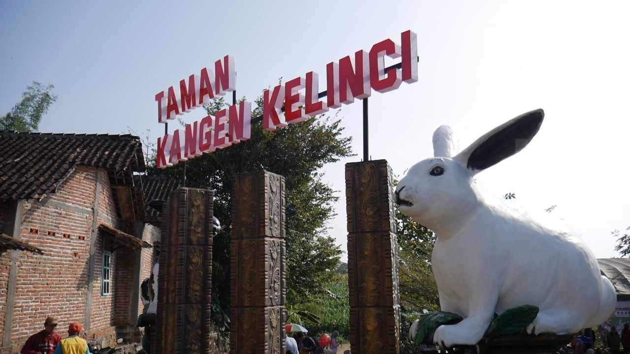 Desa Tanjungsari Magetan, Kampung Kelinci yang Terlahir Kembali