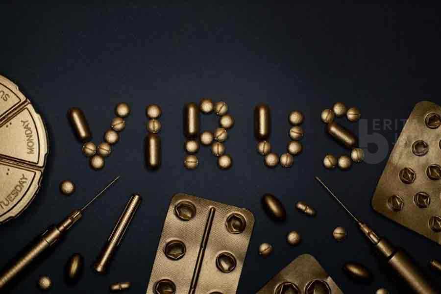 Kenali Langya Henipavirus (LayV), Virus Baru dari China yang Ramai Dibicarakan