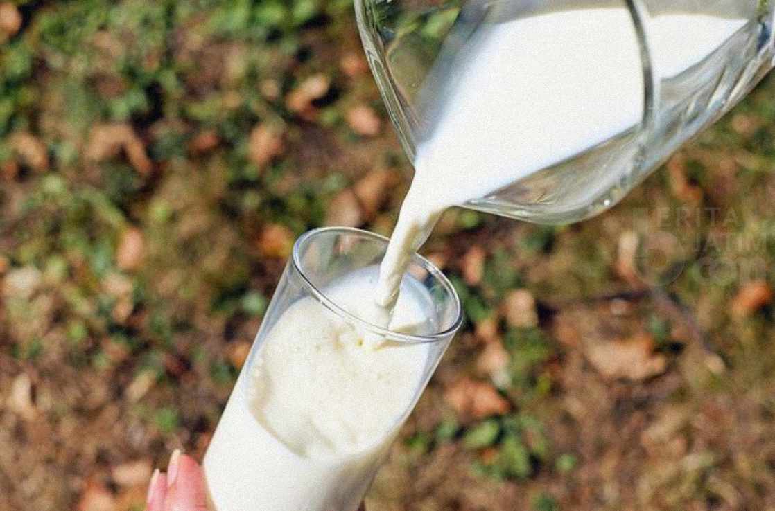 Tidak Hanya Segar, Susu Soda Memiliki Manfaat Untuk Tubuh, Salah Satunya Menyehatkan Jantung